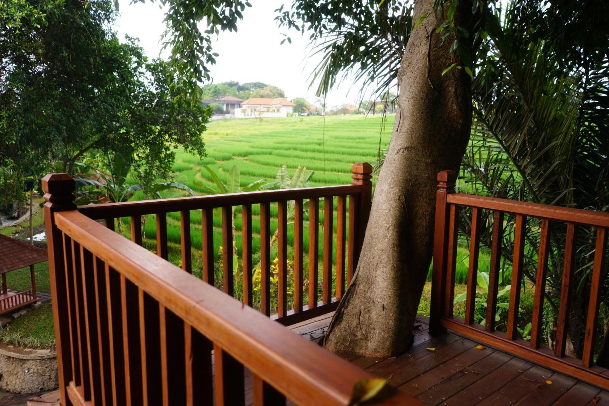 Paripadi Private Villa And Sanctuary 캉구 외부 사진
