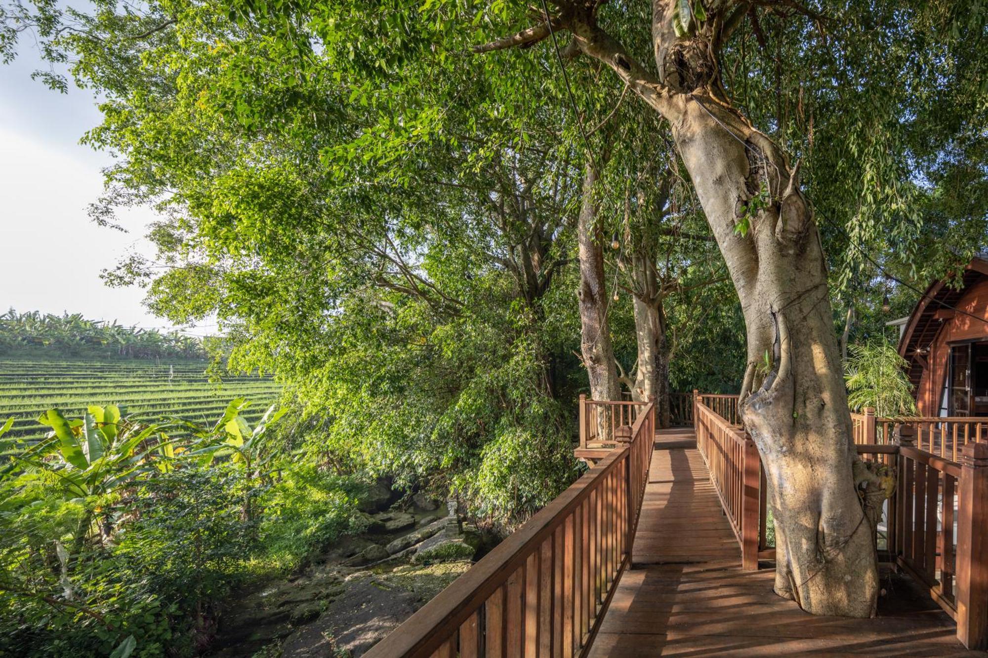Paripadi Private Villa And Sanctuary 캉구 외부 사진